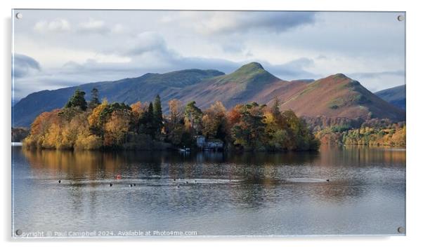 CatBells  Acrylic by Paul Campbell