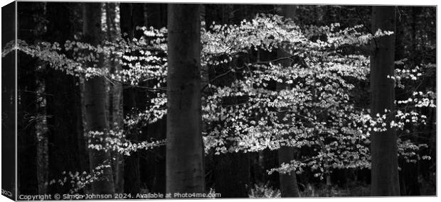 sunlit leaves in monochrome  Canvas Print by Simon Johnson