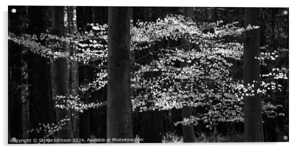 sunlit leaves in monochrome  Acrylic by Simon Johnson