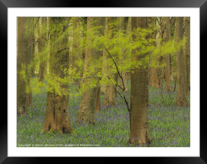windy woodland with bluebells Framed Mounted Print by Simon Johnson