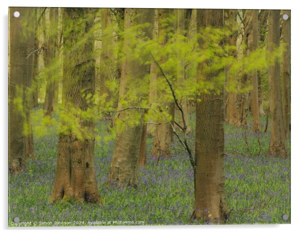 windy woodland with bluebells Acrylic by Simon Johnson