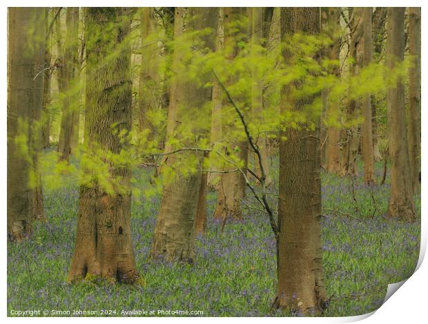 windy woodland with bluebells Print by Simon Johnson