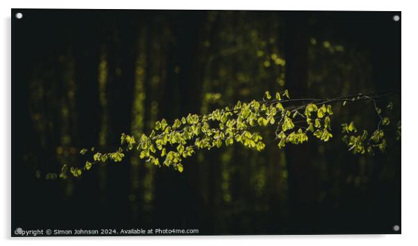 Sunlit leaves Acrylic by Simon Johnson