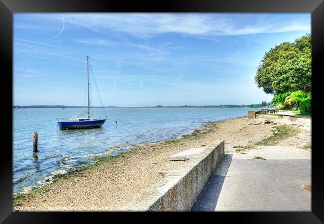Shotley Sea Wall and Picnic Area Suffolk Framed Print by Diana Mower