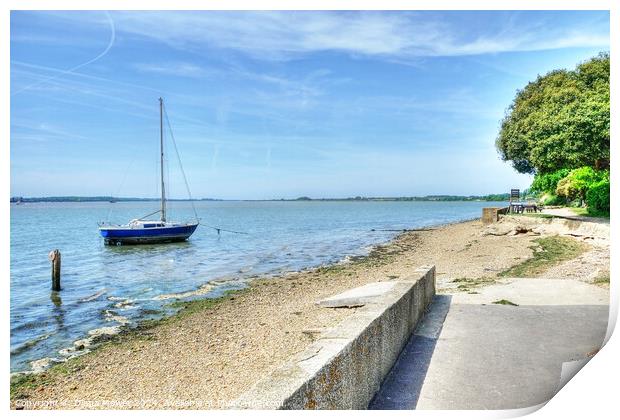 Shotley Sea Wall and Picnic Area Suffolk Print by Diana Mower