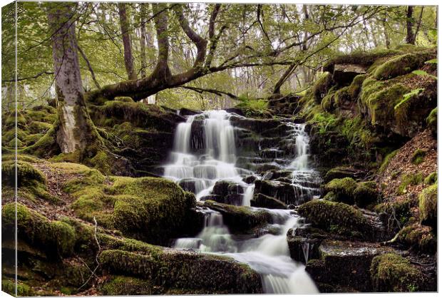 The Birks of Aberfeldy Canvas Print by Karl Oparka