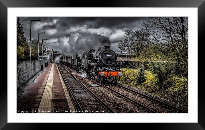 Great Britain XVI steam  rail tour Framed Mounted Print by Rodney Hutchinson