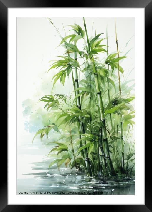 Tranquil Scene of Bamboo Plants Framed Mounted Print by Mirjana Bogicevic