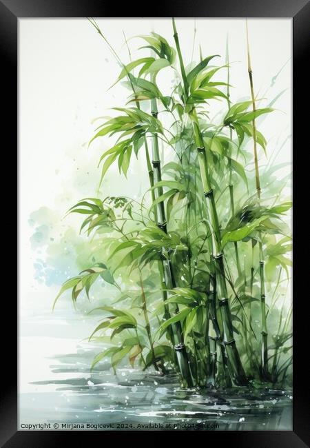 Tranquil Scene of Bamboo Plants Framed Print by Mirjana Bogicevic