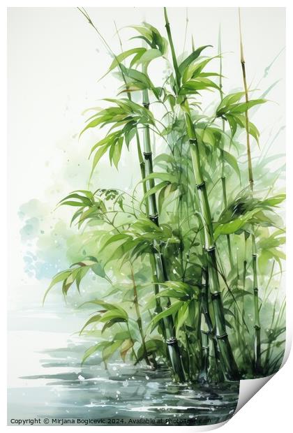 Tranquil Scene of Bamboo Plants Print by Mirjana Bogicevic
