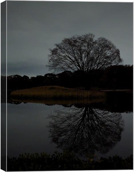 Night Tree Canvas Print by Oliver Gagne