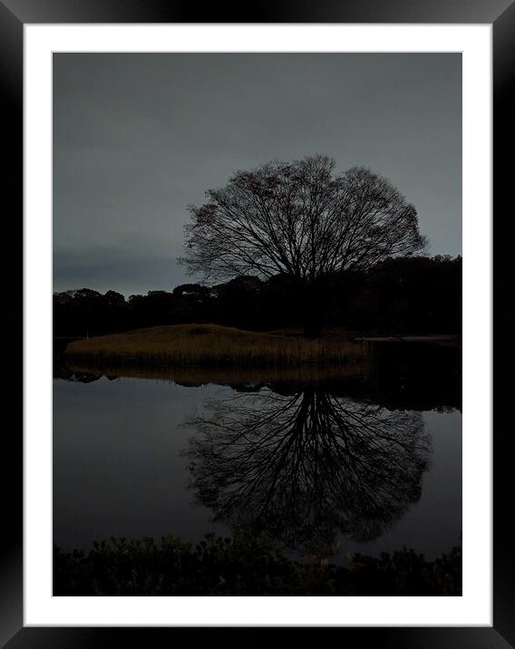 Night Tree Framed Mounted Print by Oliver Gagne