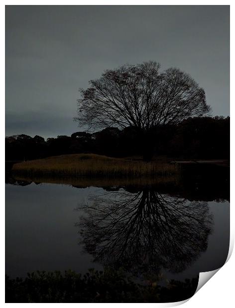 Night Tree Print by Oliver Gagne