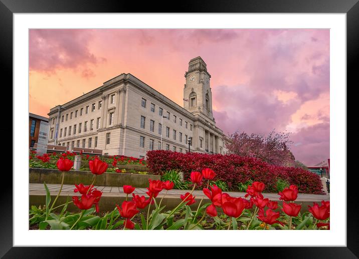 Barnsley Reds Framed Mounted Print by Alison Chambers