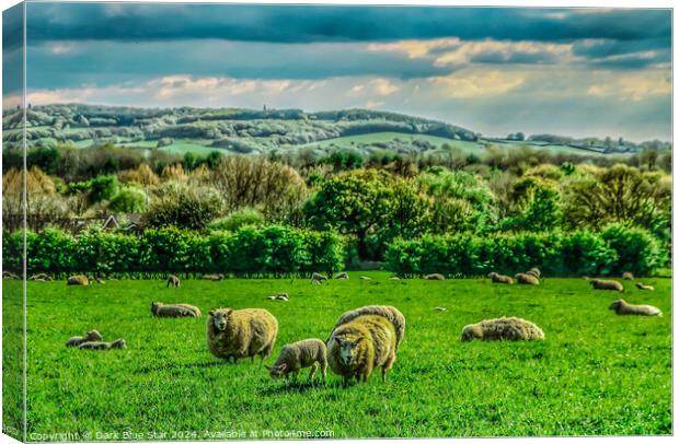 The West Lancashire Countryside Canvas Print by Dark Blue Star