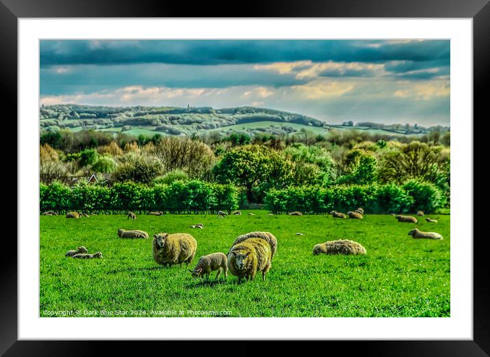 The West Lancashire Countryside Framed Mounted Print by Dark Blue Star