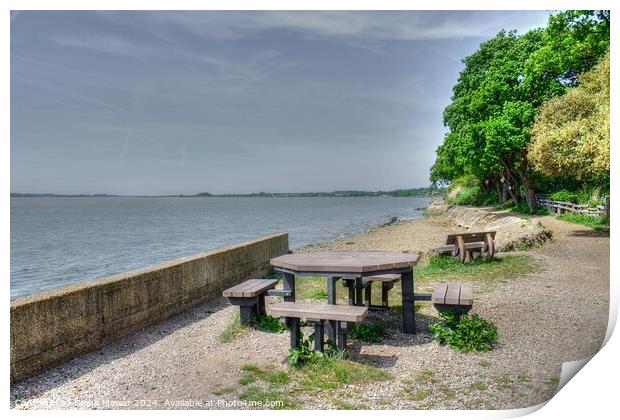  Shotley Picnic Area Suffolk Print by Diana Mower