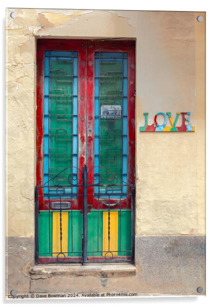 Maltese Love Acrylic by Dave Bowman