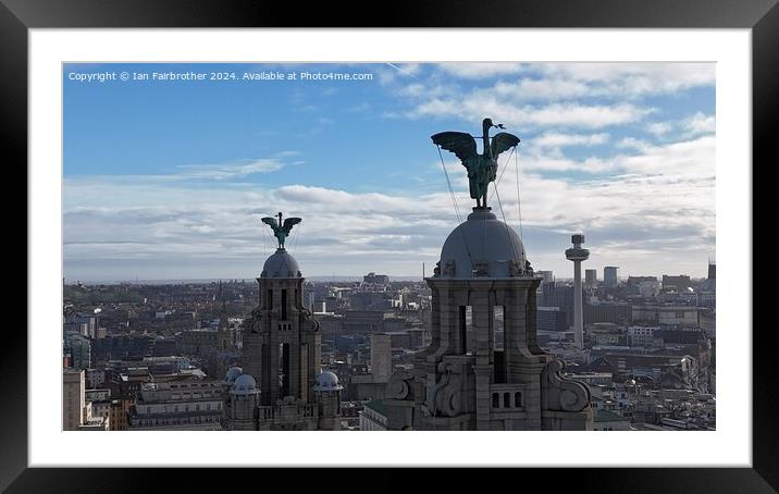 Liverbirds Framed Mounted Print by Ian Fairbrother