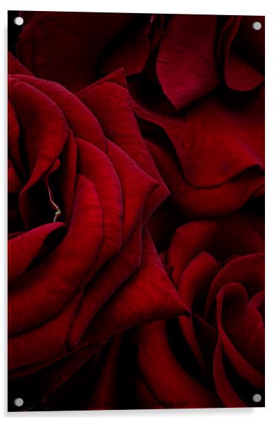 Red Roses Acrylic by Ann Garrett