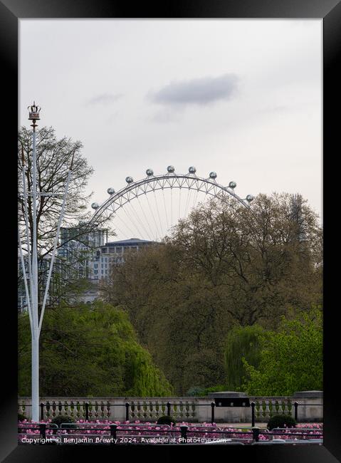 The London Eye Framed Print by Benjamin Brewty