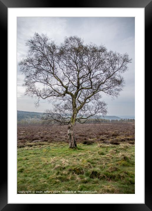 Lonesome Tree Framed Mounted Print by Dean Jeffery