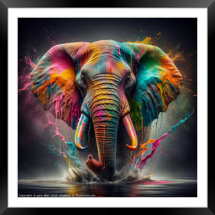 Elephant Framed Mounted Print by gary allan