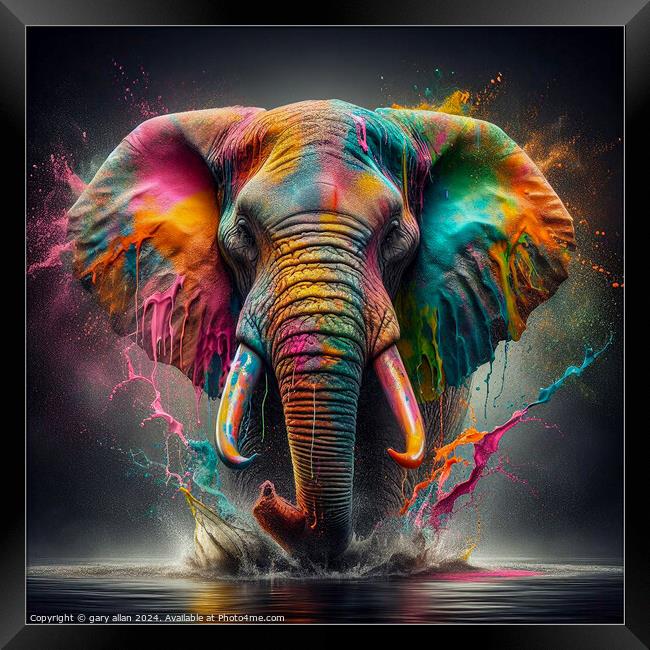 Elephant Framed Print by gary allan