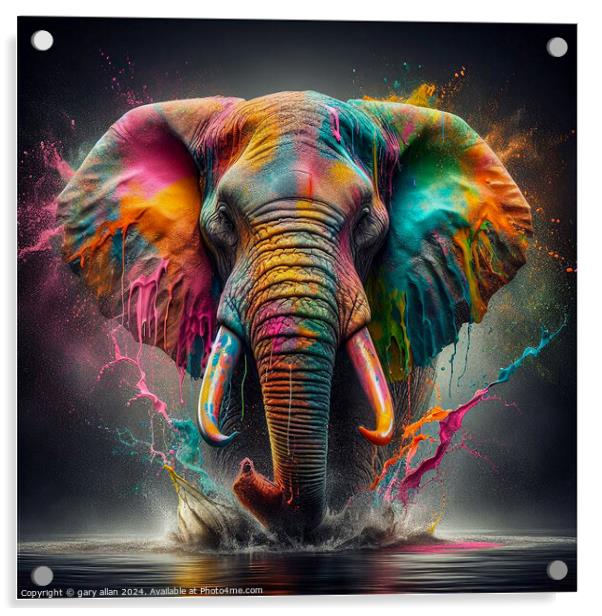 Elephant Acrylic by gary allan