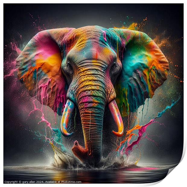 Elephant Print by gary allan