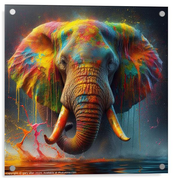 Charging Elephant  Acrylic by gary allan