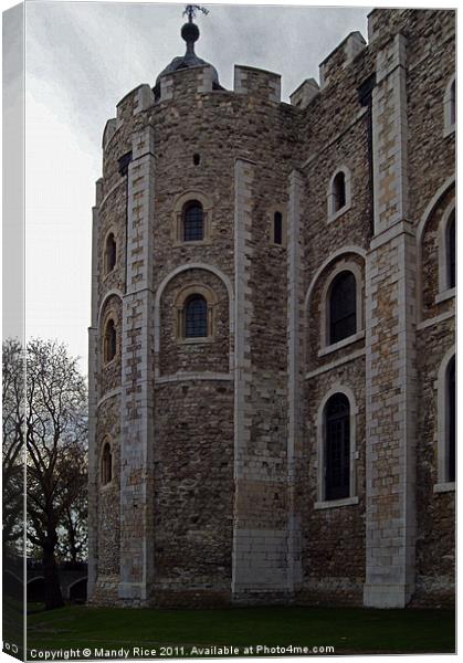 The Tower of London Canvas Print by Mandy Rice