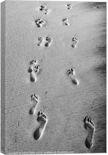 Footprints Through Time Canvas Print by David Pyatt
