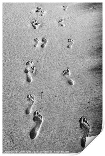 Footprints Through Time Print by David Pyatt