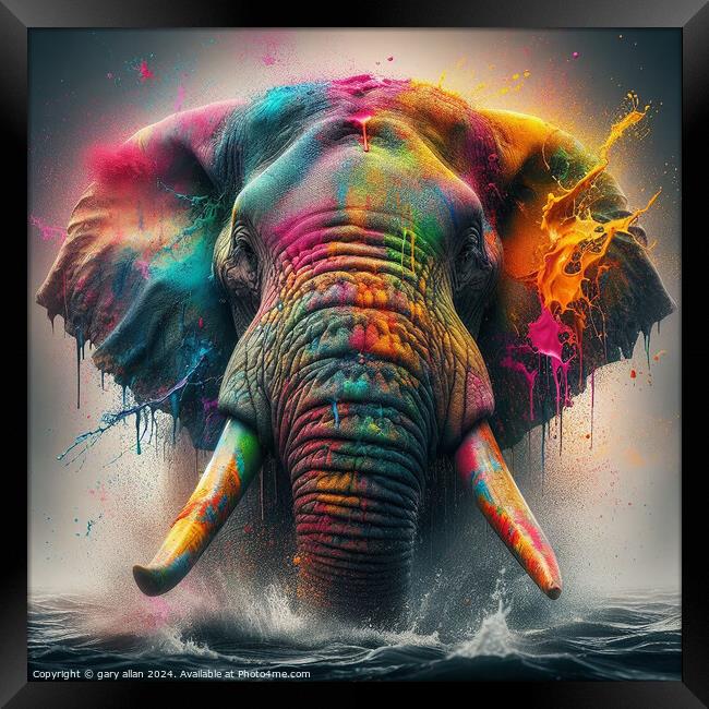 Charging Elephant covered in paint  Framed Print by gary allan