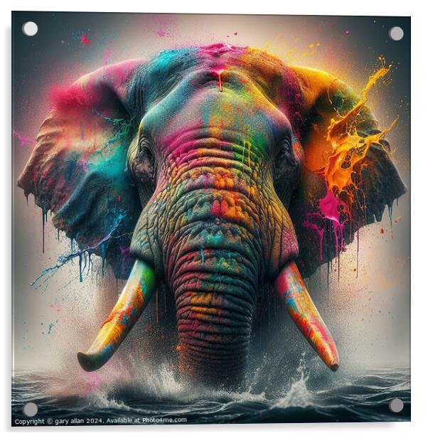 Charging Elephant covered in paint  Acrylic by gary allan
