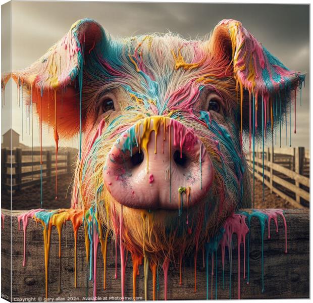 Farmyard Pig Canvas Print by gary allan