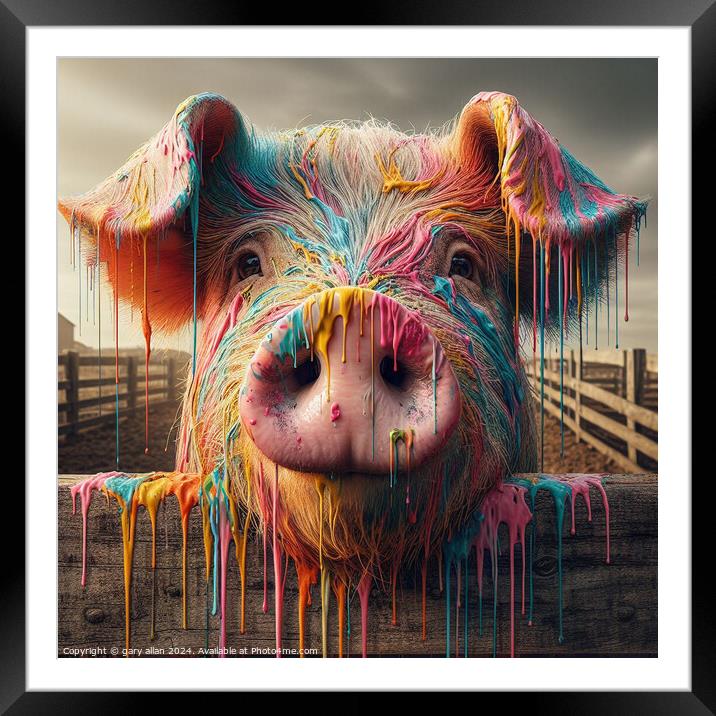 Farmyard Pig Framed Mounted Print by gary allan
