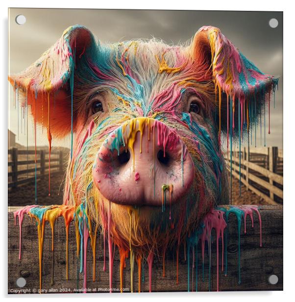 Farmyard Pig Acrylic by gary allan