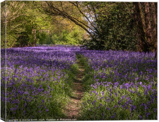 Bluebells  Canvas Print by Donna Smith