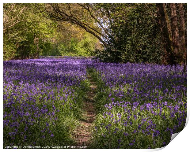 Bluebells  Print by Donna Smith