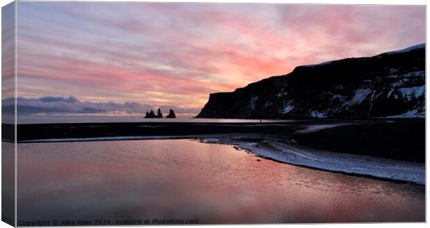 Iceland Beach Sunset Canvas Print by Alice Rose Lenton