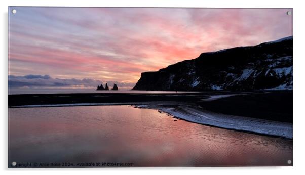 Iceland Beach Sunset Acrylic by Alice Rose Lenton