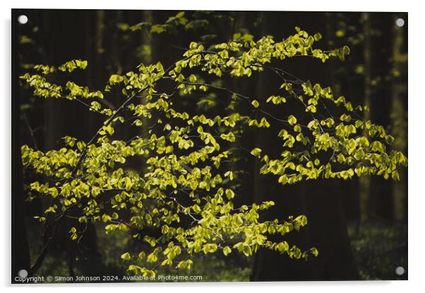Sunlit sprit leaves  Acrylic by Simon Johnson