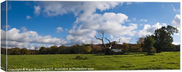 Hatfield Forest Panoramic Canvas Print by Nigel Bangert