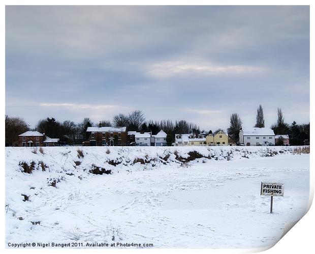 Frozen Pond Print by Nigel Bangert