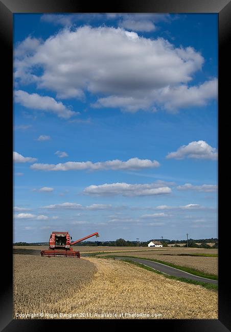 Harvest Time Framed Print by Nigel Bangert
