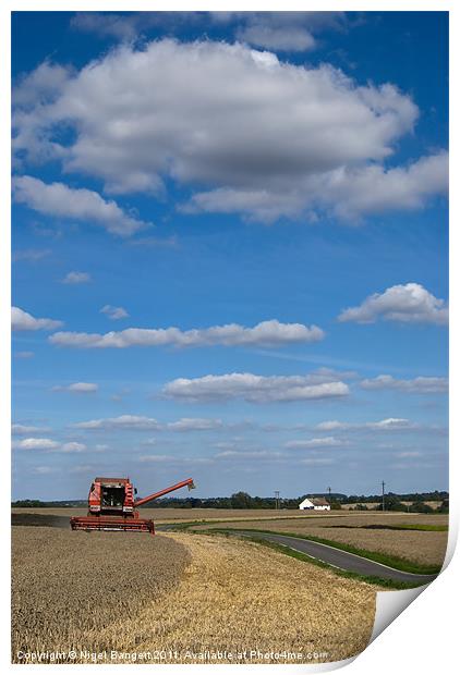 Harvest Time Print by Nigel Bangert