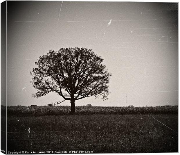 One Tree Stands Alone Canvas Print by Katie Anderson