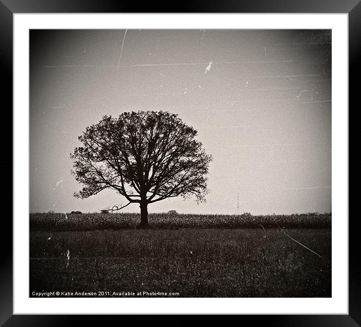 One Tree Stands Alone Framed Mounted Print by Katie Anderson